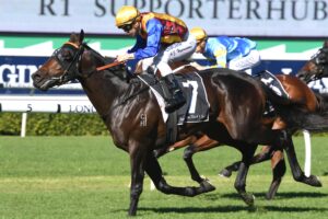 Prince Fawaz runs in the Hobartville Stakes.