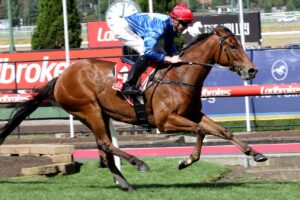 Rubisaki is the favourite for the $1 million Inglis Sprint.