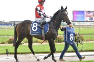 Sunborn after winning on debut at Newcastle.