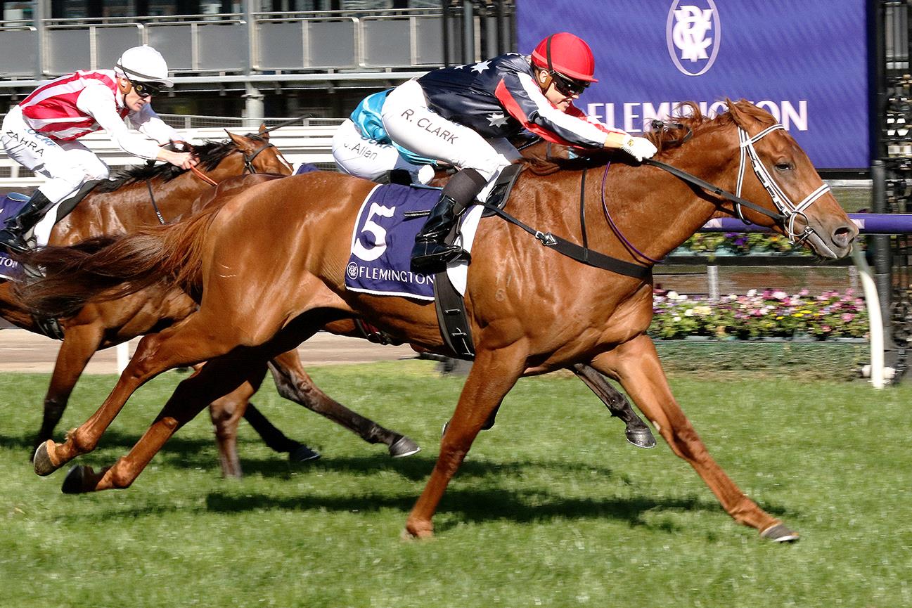 Dalasan can chalk up his maiden Group 1 in Saturday’s Epsom Handicap.