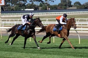 Vow And Declare (orange silks) leads his stablemate Russian Camelot in a gallop at Geelong.