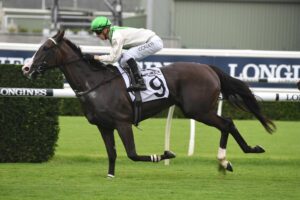 Cradle Mountain winning the Carrington Stakes.