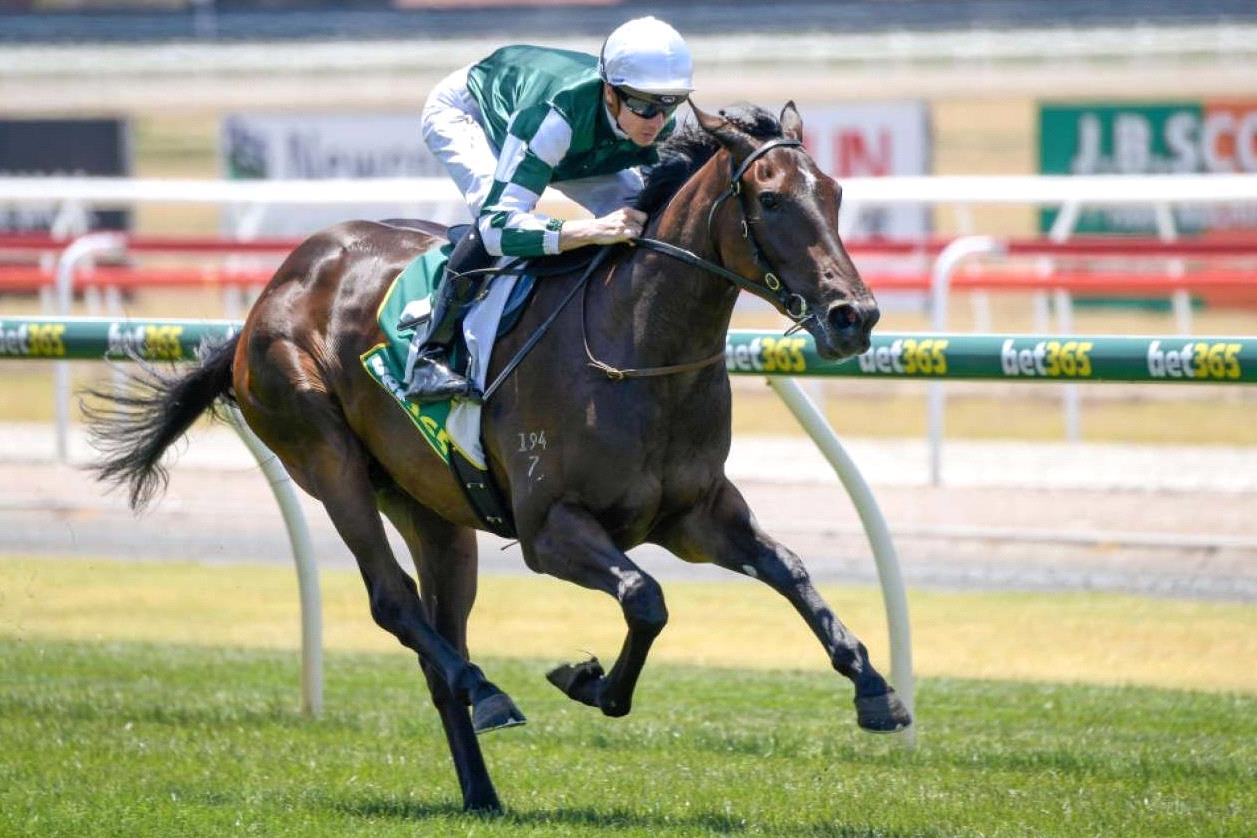 Peter Snowden Racing Fresh is best for Peter and Paul Snowden - Racenet