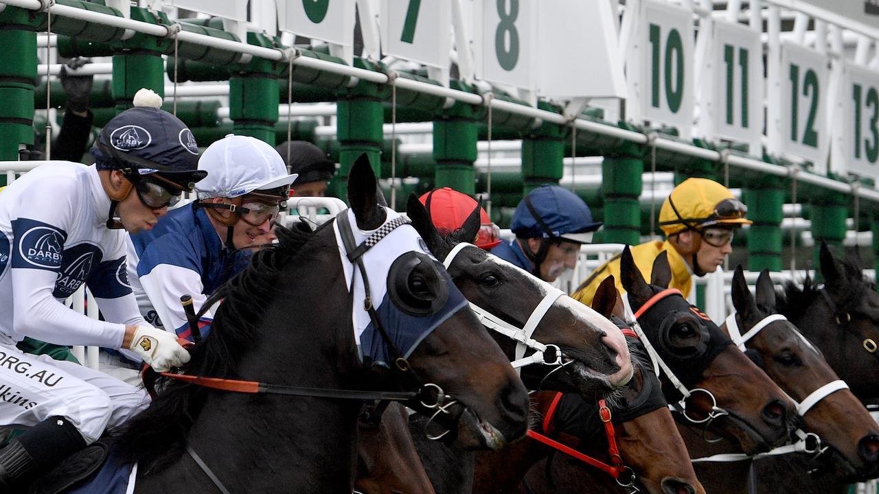 Midweek racing is at Canterbury on Wednesday. Photo: Dan Himbrechts/AAP Image