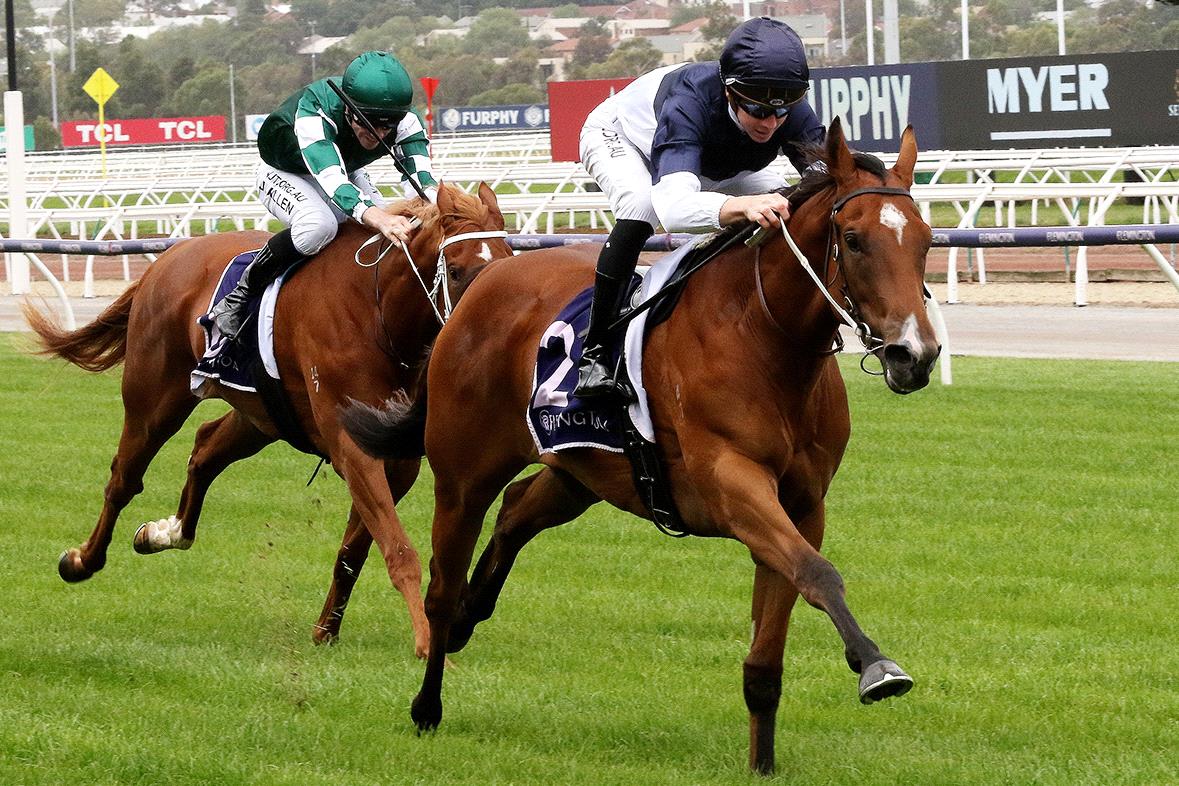 Jye McNeil steered two-year-old Jabali Ridge to his maiden win at Flemington.