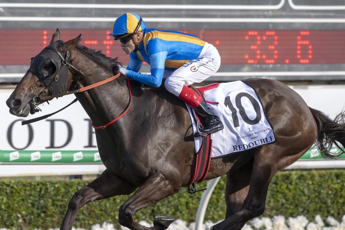 Redouble Magic Magic Millions bound gallopers trial strongly at Rosehill - Racenet