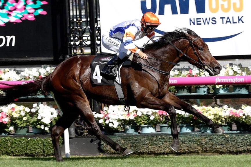 Quarantine quandry a Dubai hurdle for Hey Doc - Racenet