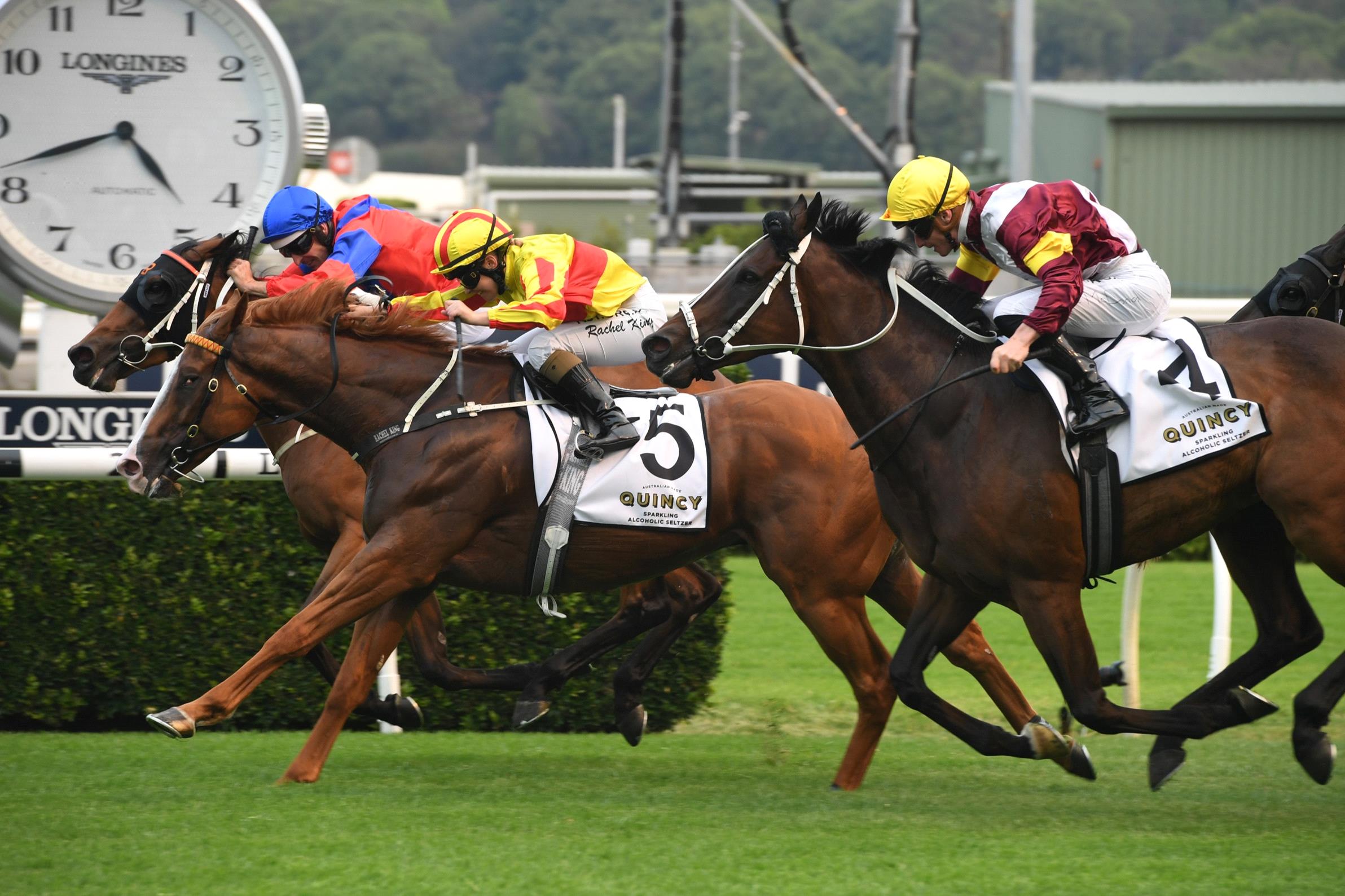 Quackerjack (yellow and red) winning the Villiers Stakes.