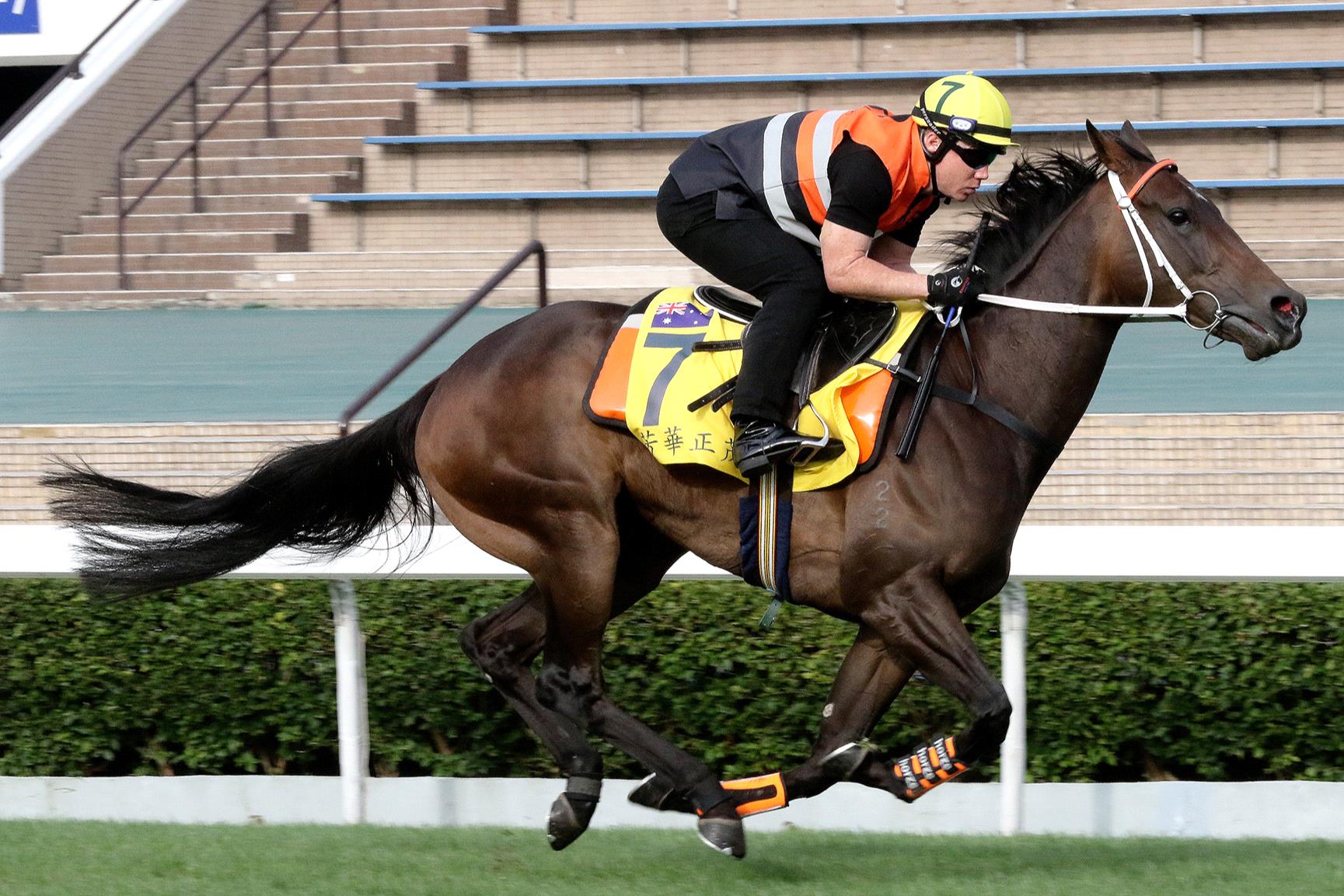 In Her Time gallops in Hong Kong last week.