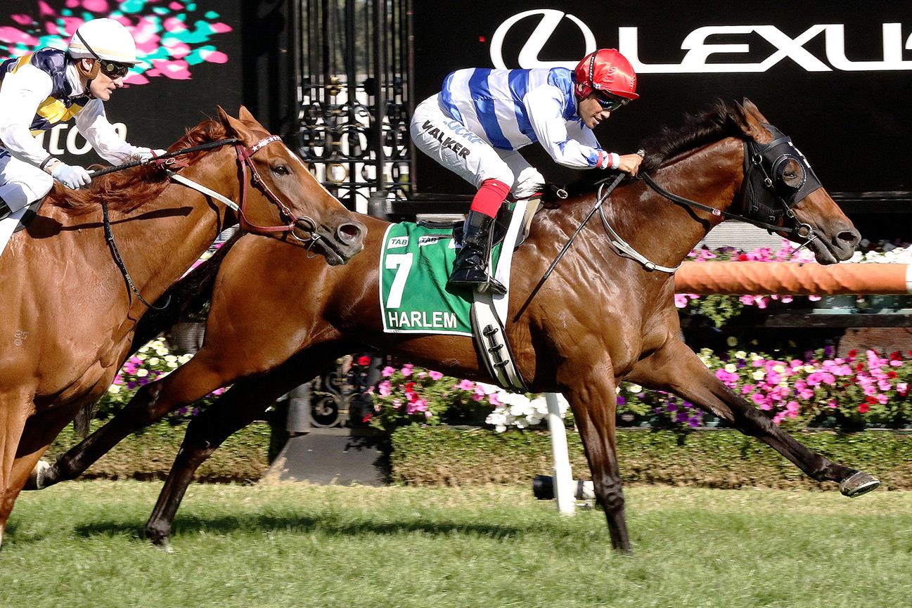 Harlem scored an upset win in last year’s Australian Cup.