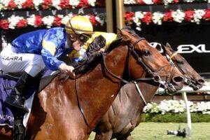 Santa Ana Lane was the star of the show at Flemington on Stakes day.