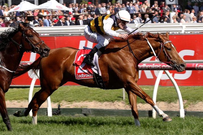 The gritty performer Gailo Chop will return to racing on Saturday in the Makybe Diva Stakes.