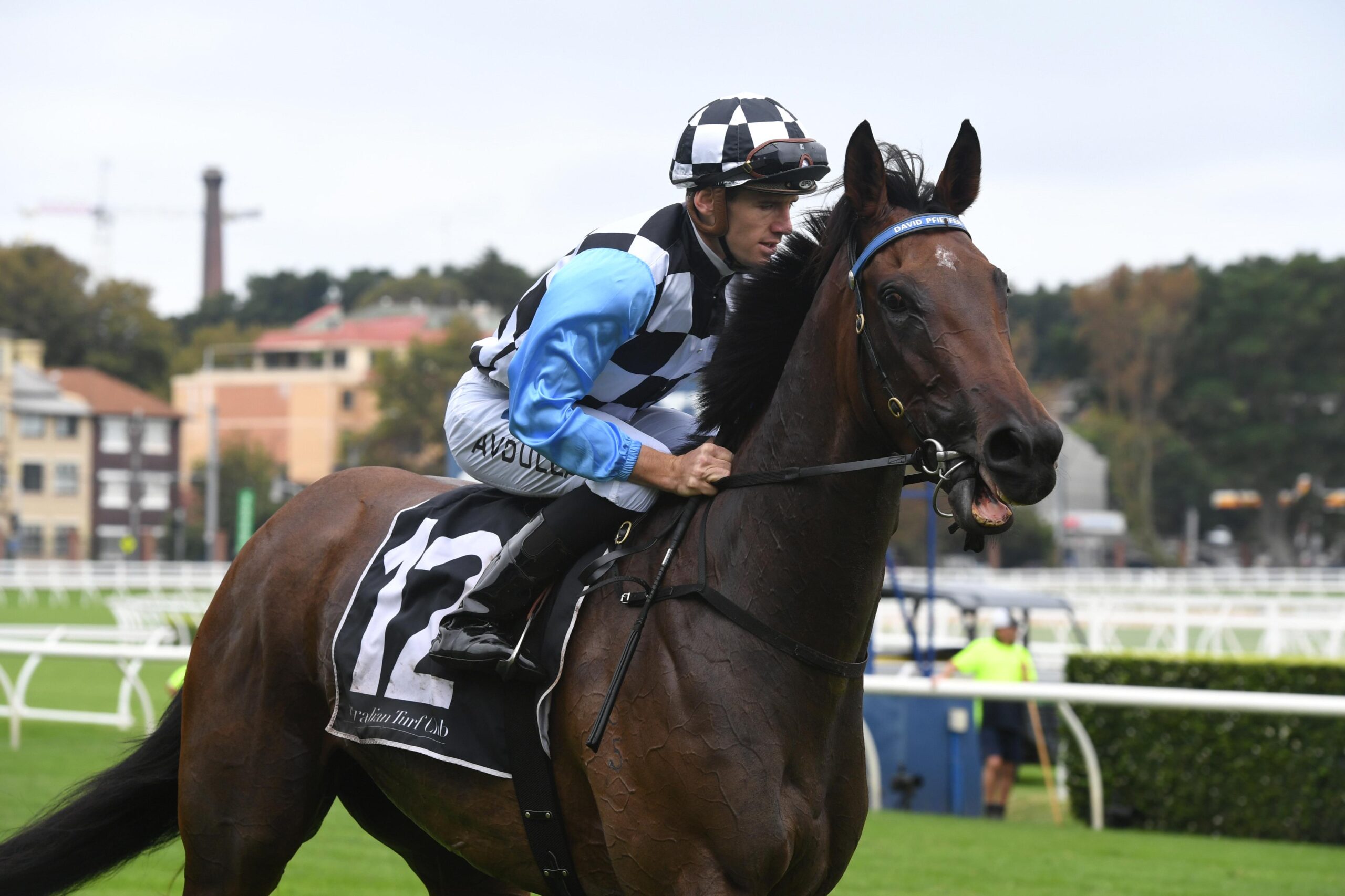 Prophet’s Thumb will be out to return a winner again in Saturday’s McEwen Stakes.