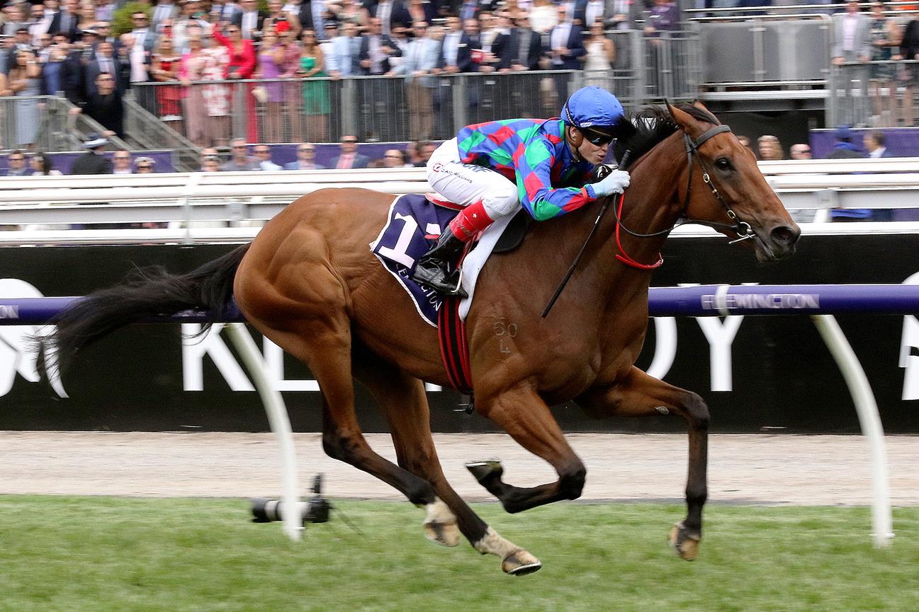 Cochada powering to his Flemington win last spring.