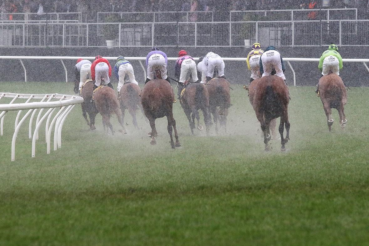 Wet Tracks Horse Racing