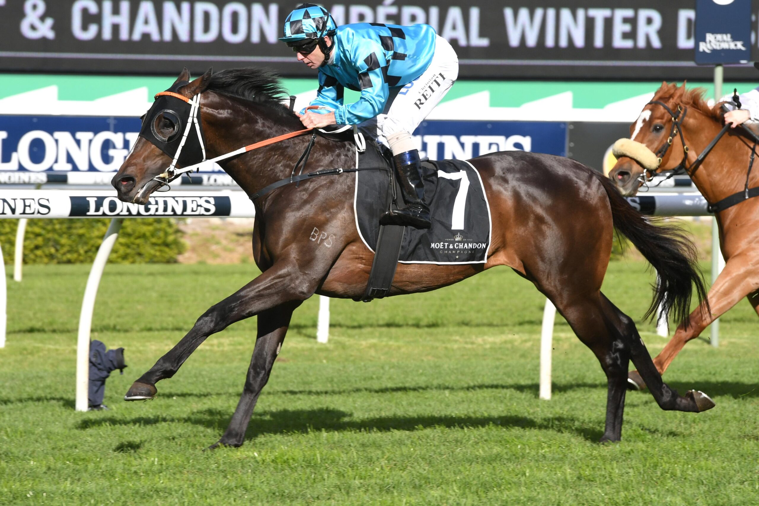 Sesar can run a race at odds in the Balaklava Cup.