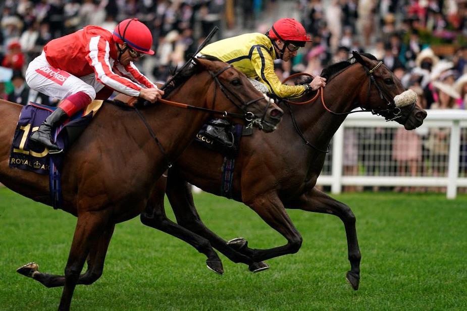 Move Swiftly winning the Duke Of Cambridge Stakes.