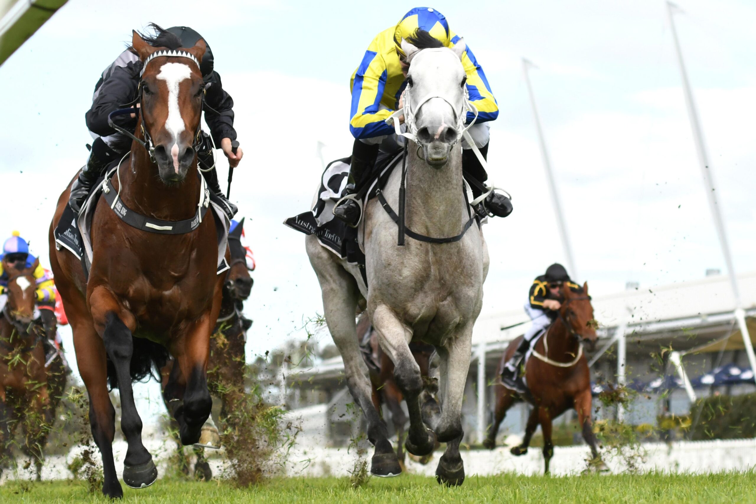 Splintex holds off Rotator (grey) in the Southern Cross Turf 2YO Handicap.