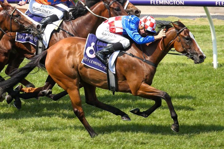 Swift Sis will chase another win for the Pat Carey stable at Caulfield.