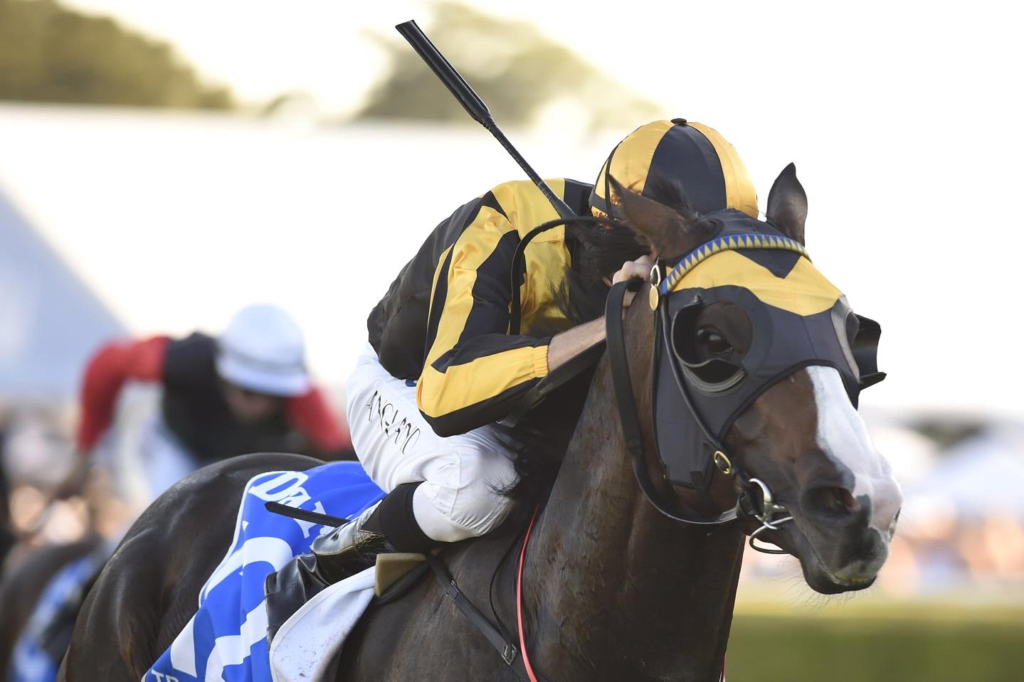 Trapeze Artist trialled without his blinkers at Randwick on Friday.