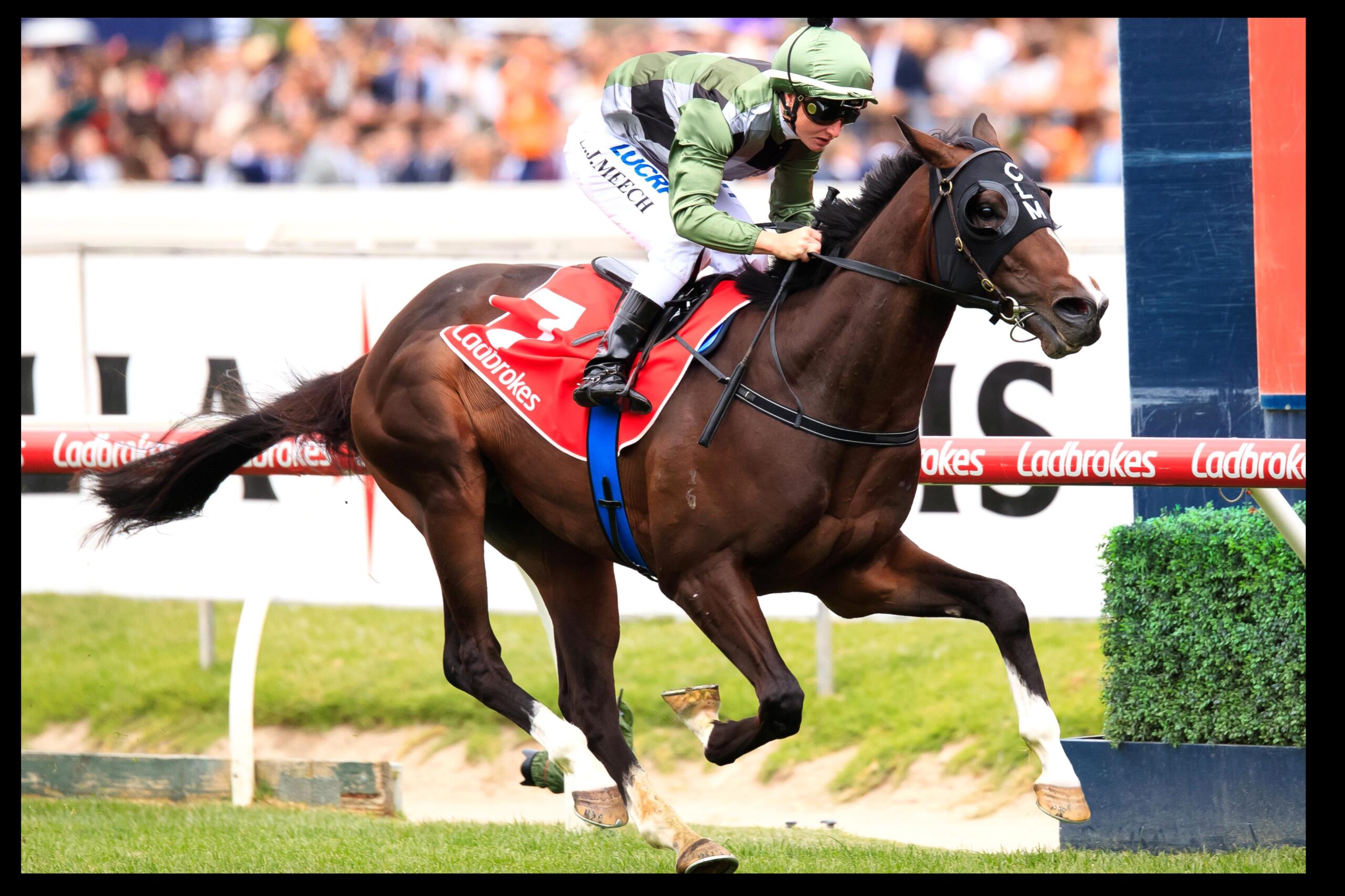 It may have been Caulfield Cup Day but I think we saw a Derby star in Thought Of That