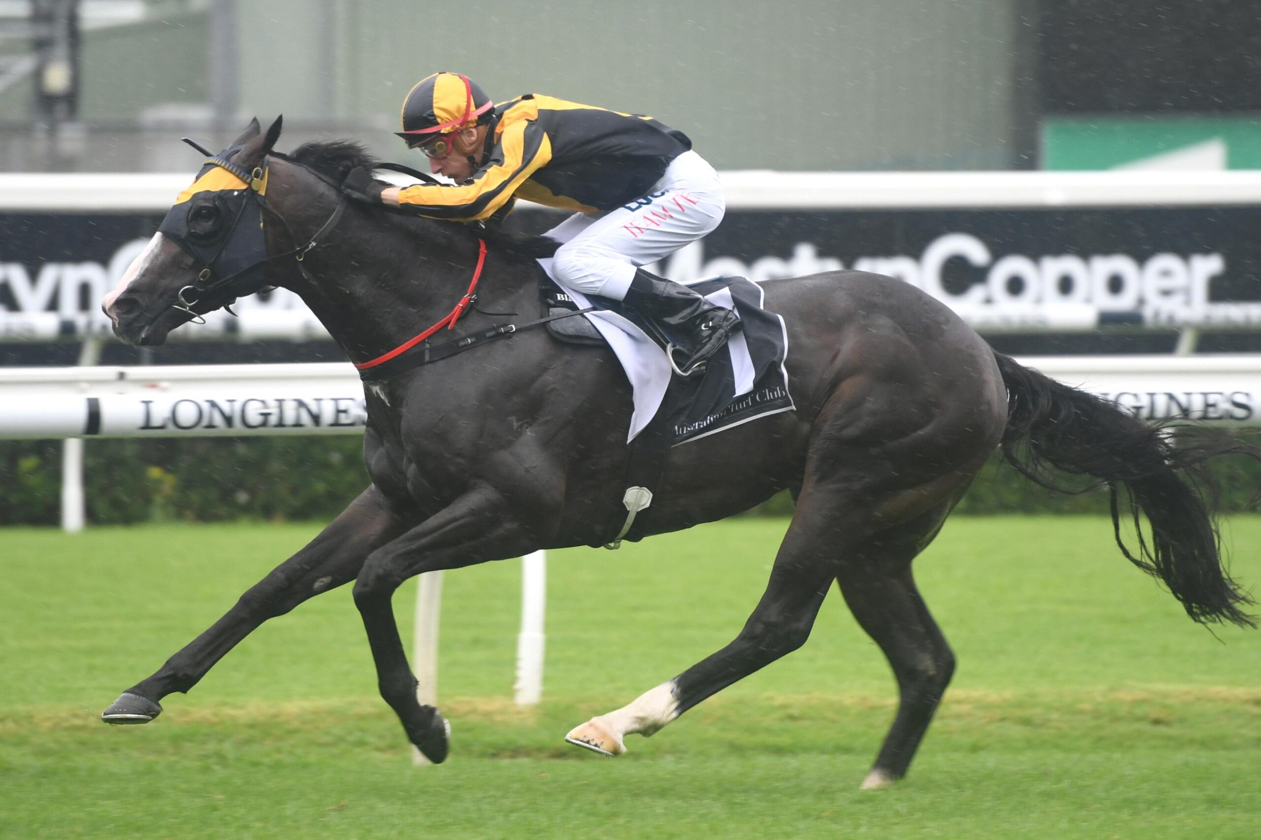 Trapeze Artist will have a shot at another TJ Smith Stakes win.