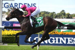 Angel Of Truth could have raced his way into next Saturday’s Australian Derby.