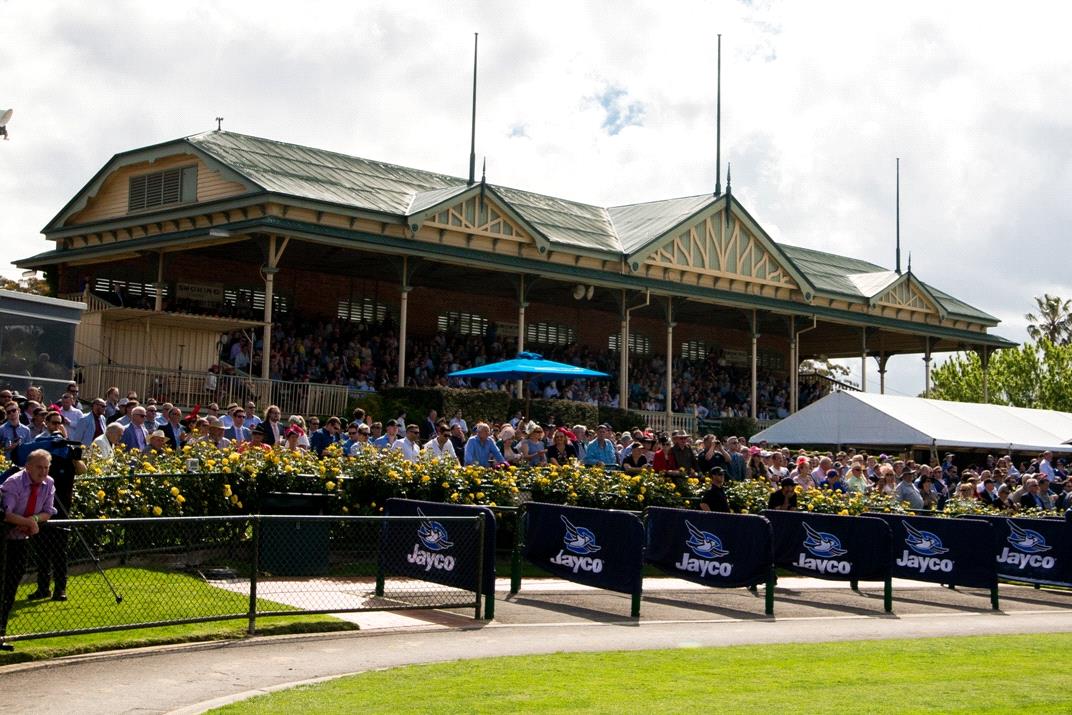 Huge fields for Saturday's Bendigo stand-alone meeting - Racenet
