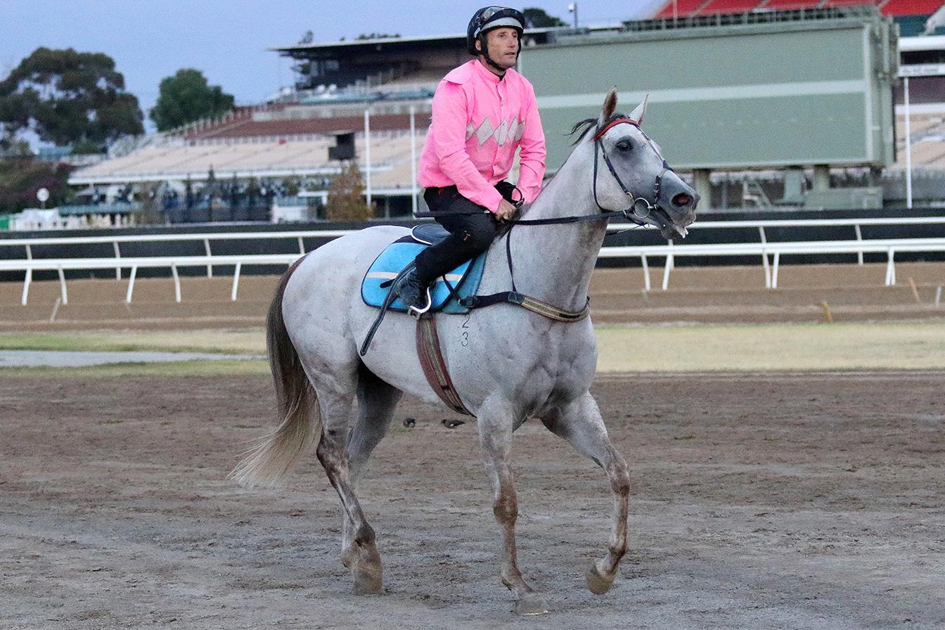 Tribal Wisdom after his jumpout.