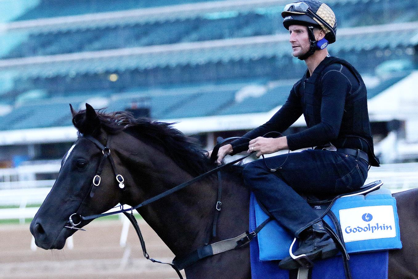 Avilius at Flemington.