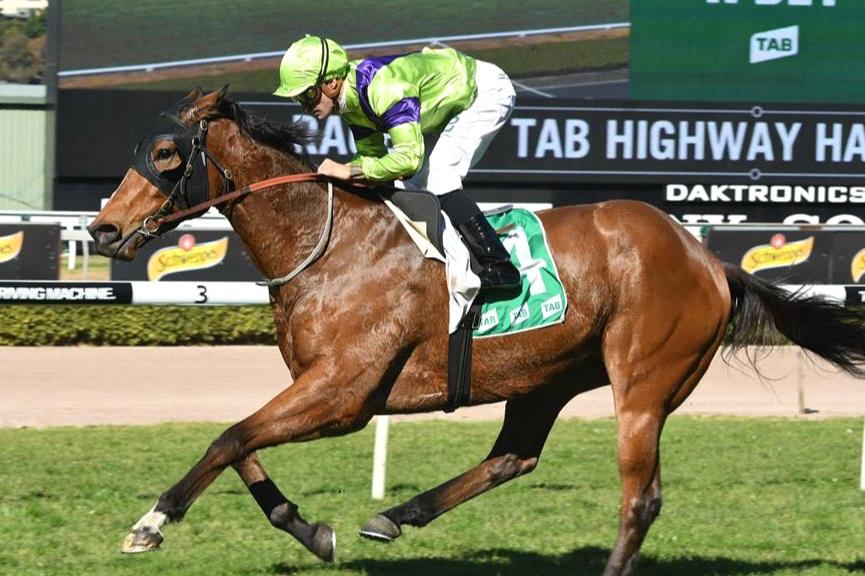 The top bets from Greg Polson for Tamworth Sunday