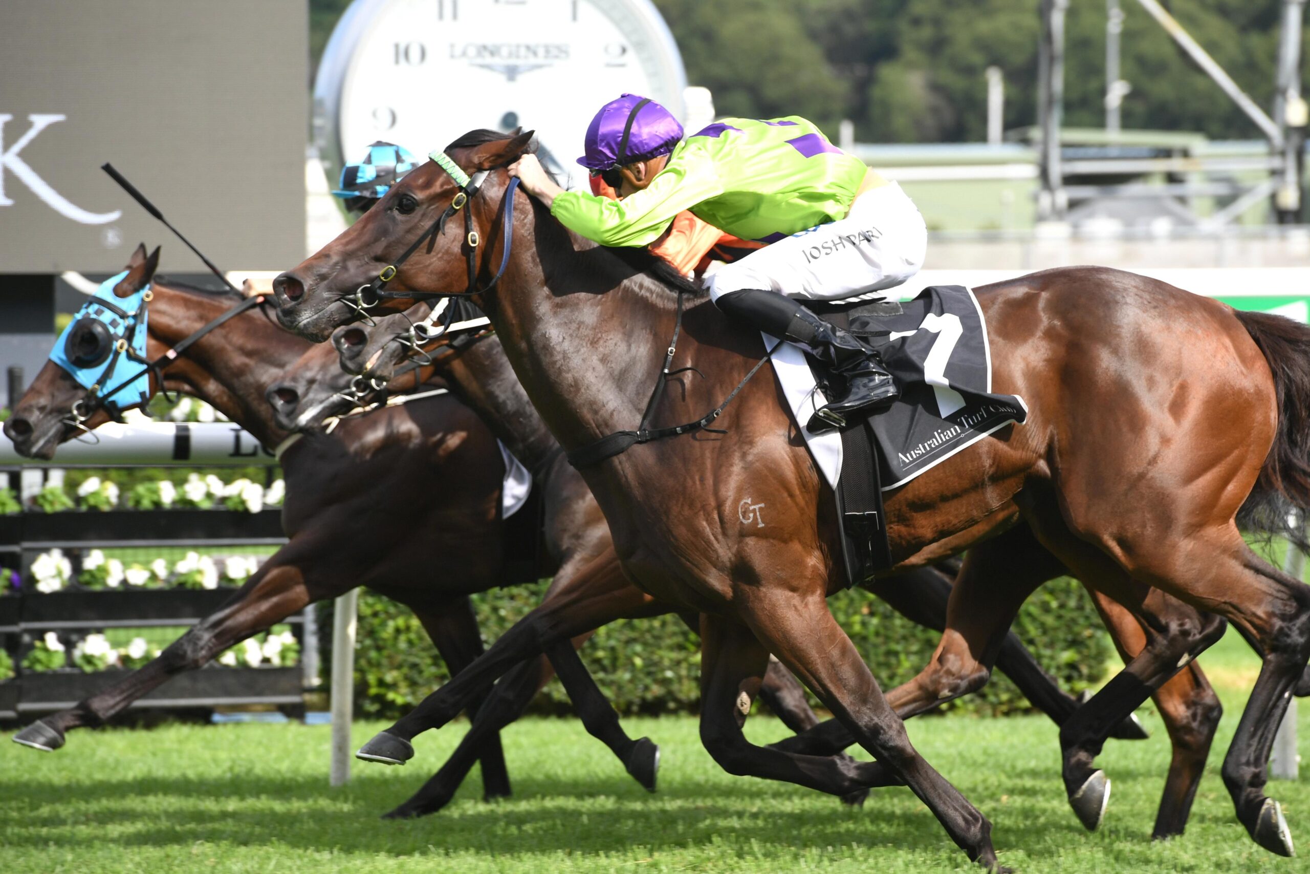 2019 Surround Stakes Result And Replay Racenet