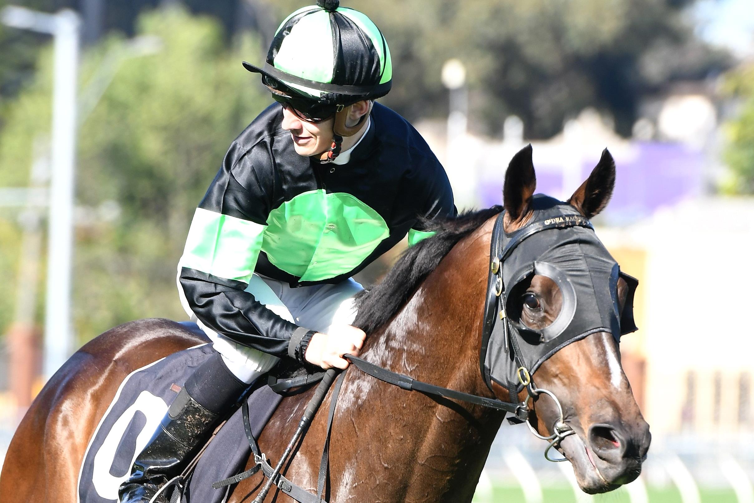 Sesar will be a noticeable absentee from the three-year-old division during the Sydney autumn.