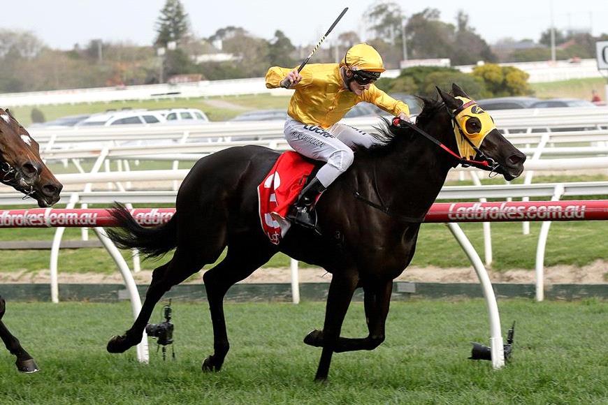 Old Partnership Unite At Flemington Racenet