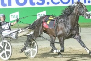 Tiger Tara setting a new track record in the 2018 Inter Dominion Pacers Final.