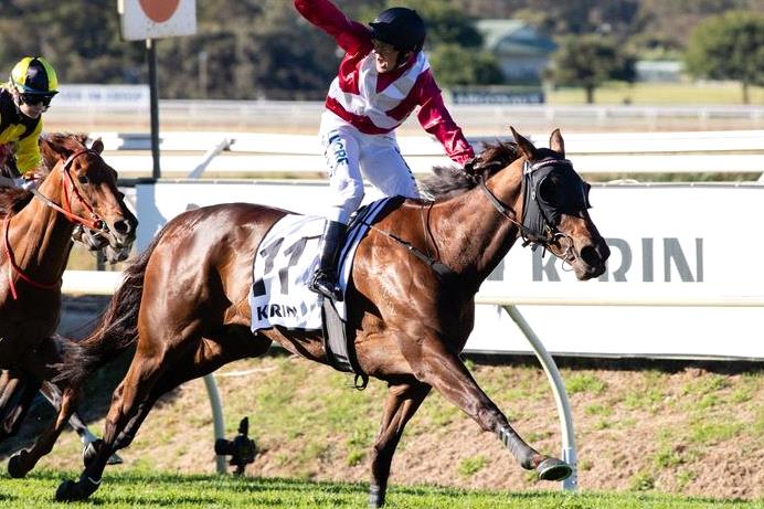 Galaxy Star will chase another Group I win in the Kingston Town Classic.