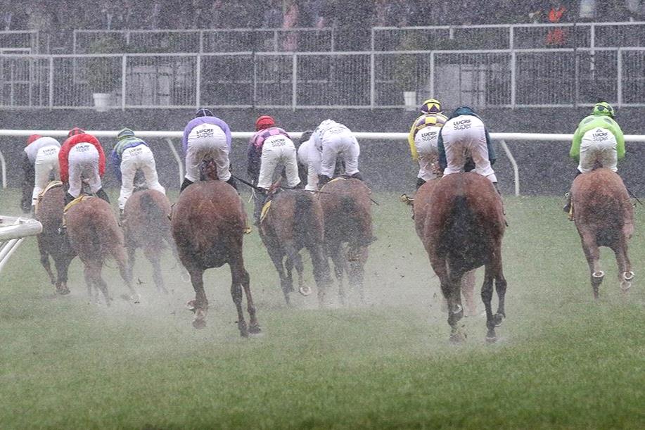 Flemington track may continue to improve for VRC Oaks day