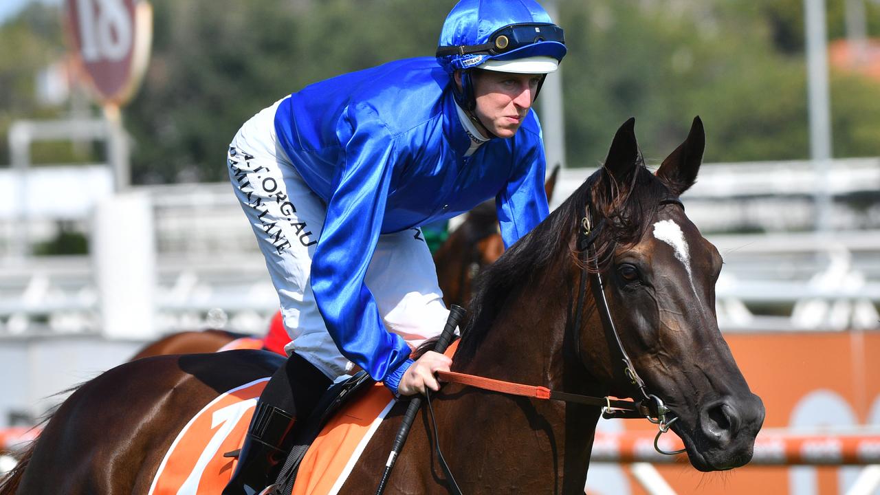 Avilius is favourite in the Hollindale Stakes despite being a long time off the winners’ list. Picture: AAP