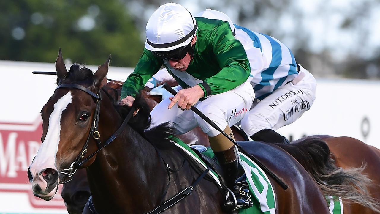 Punters on right side of Snowden Guineas raid - Vimarsana News