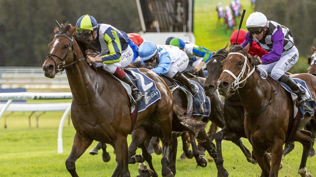 John Sargent was 800km when Brandenburg won The Coast. Picture: Ashlea Brennan Photography