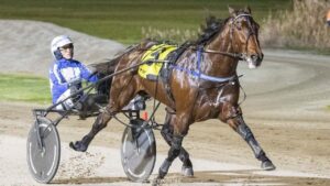 Ride High may have run his last race. Photo: Stuart McCormick/raceday photos