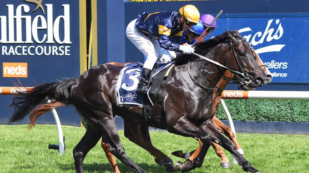 Ranting winning the Group 3 Blue Sapphire Stakes at Caulfield. Picture: Racing Photos