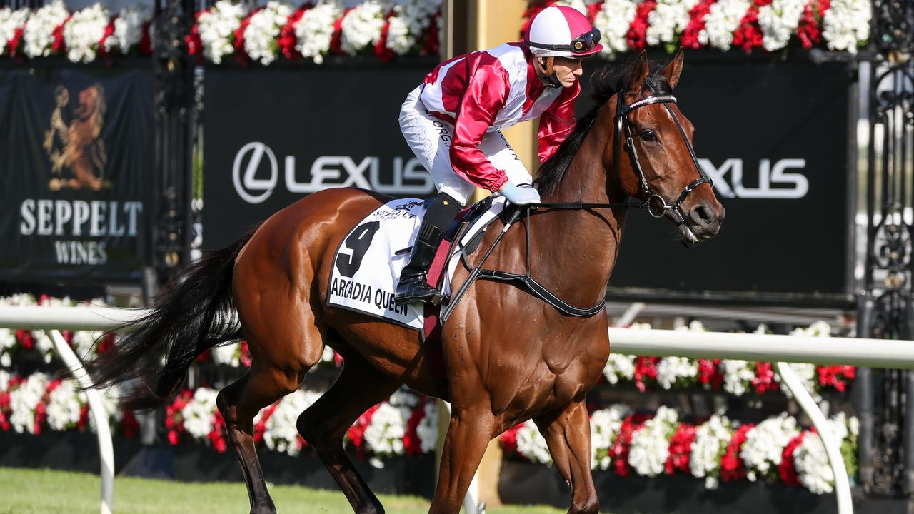 Arcadia Queen ridden by Luke Currie heads to the barrier before the Seppelt Mackinnon Stakes at Flemington Racecourse on November 07, 2020 in Flemington, Australia. (George Salpigtidis/Racing Photos via Getty Images)