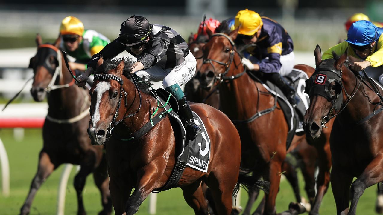 Splintex winning the Arrowfield Sprint last year. Picture: Getty Images