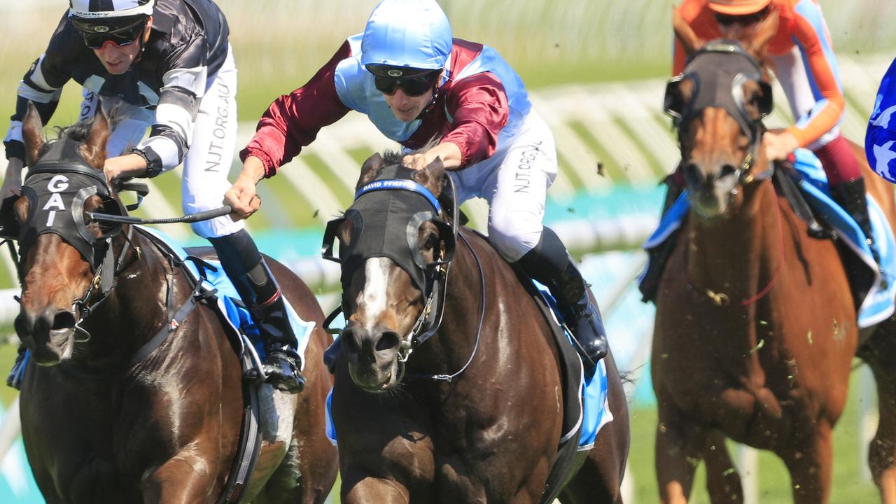 Laure Me In has been backed into favourite for the Scone Cup. Picture: Mark Evans/Getty Images