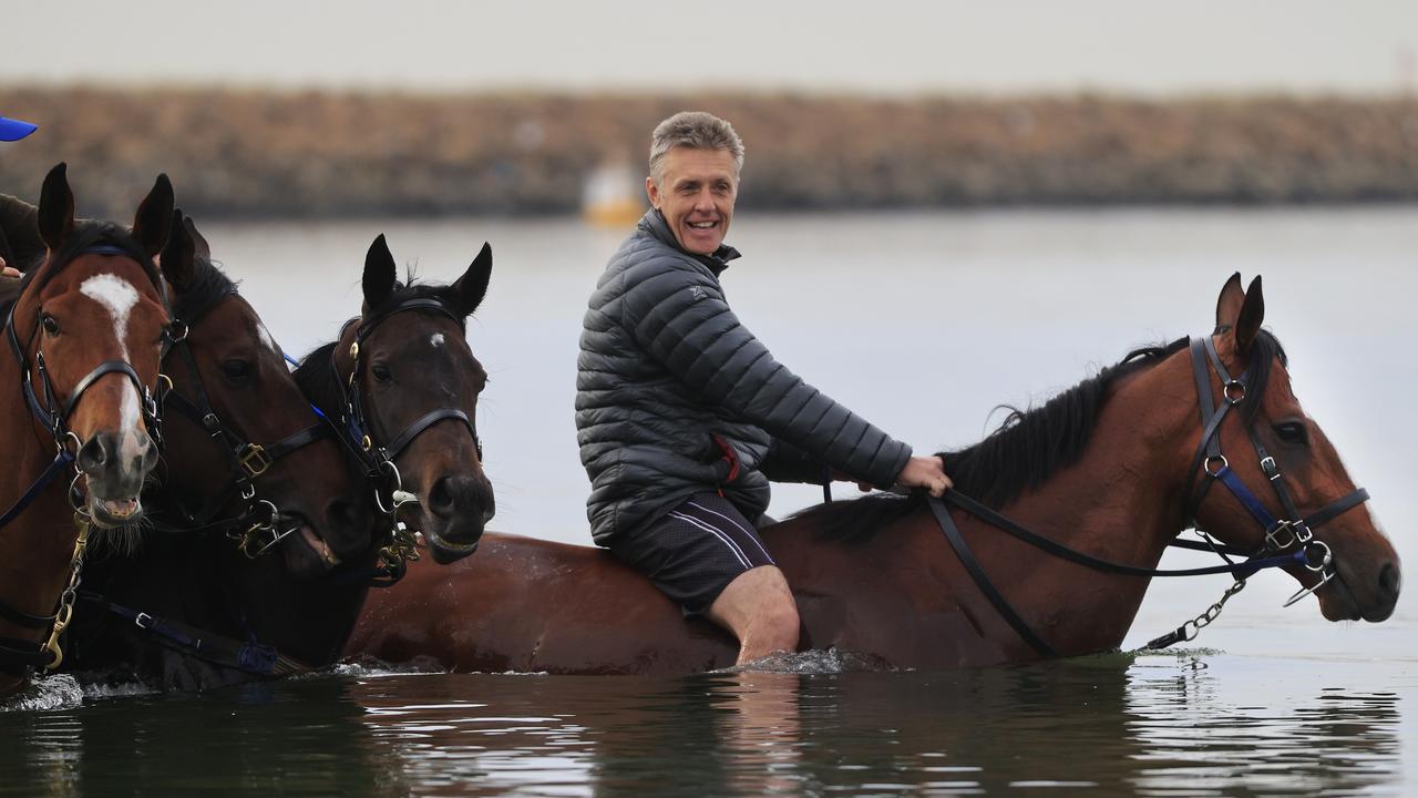 Trainer Mark Newnham is expecting a big showing from Selhurst Park first-up at Wyong. Photo: Mark Evans/Getty Images