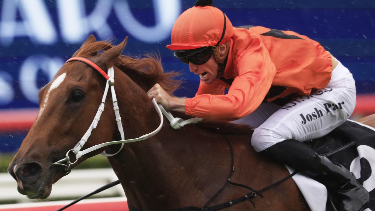 Last year’s Scone Inglis 2YO Challenge winner The Bopper. Picture: Mark Evans/Getty Images