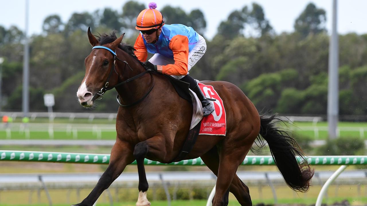 Prince Of Boom will back-up in the Spirit Of Boom Classic after a five-length romp at Sunshine Coast on debut. Picture: Grant Peters/Trackside Photography