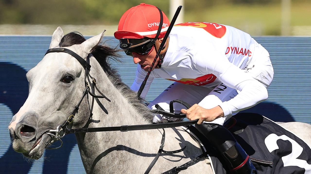 Love Tap won four of five starts before a hock injury. Picture: Mark Evans/Getty Images