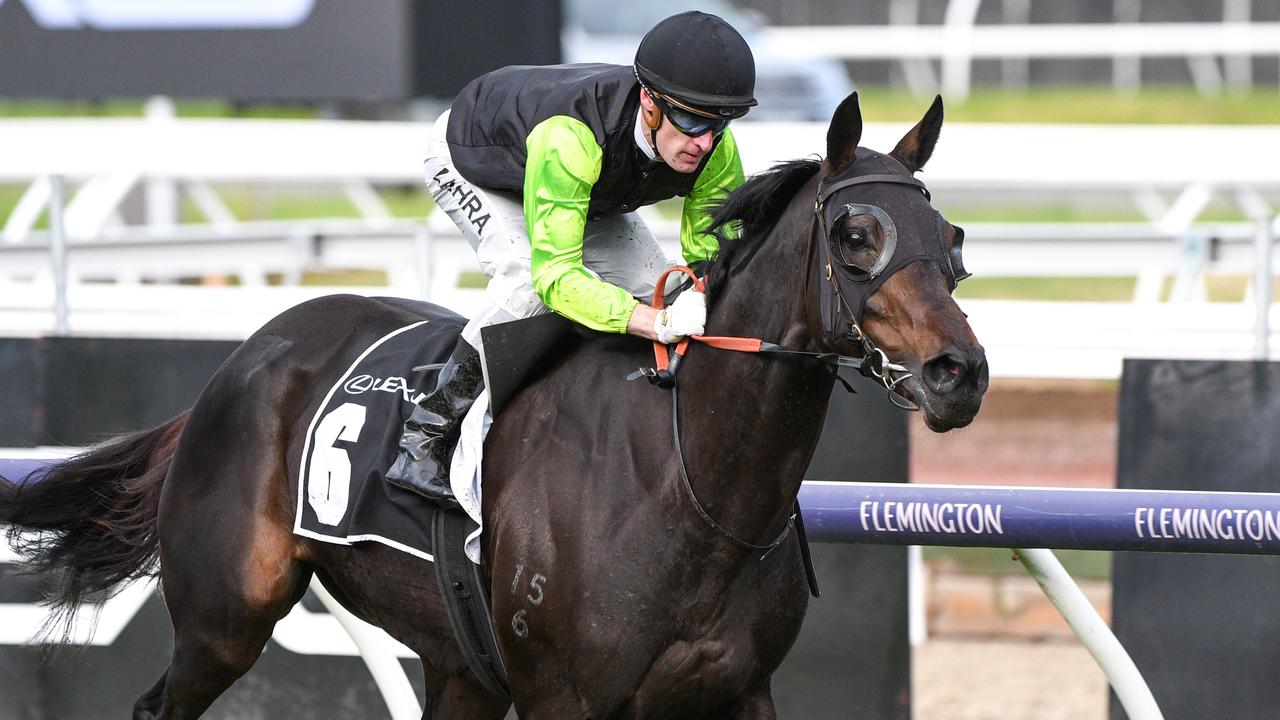 Mark Zahra rode Andrew Ramsden winner Realm Of Flowers like the best stayer in the race. Picture: Vince Caligiuri/Getty Images